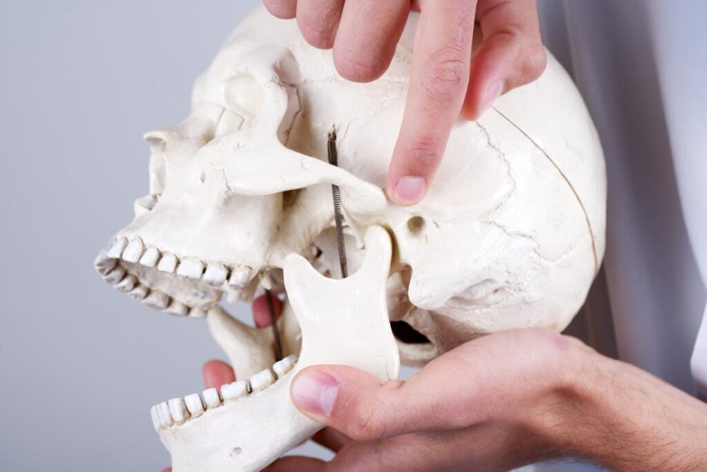 Debunking the Common Believed Myths About TMJ Disorder