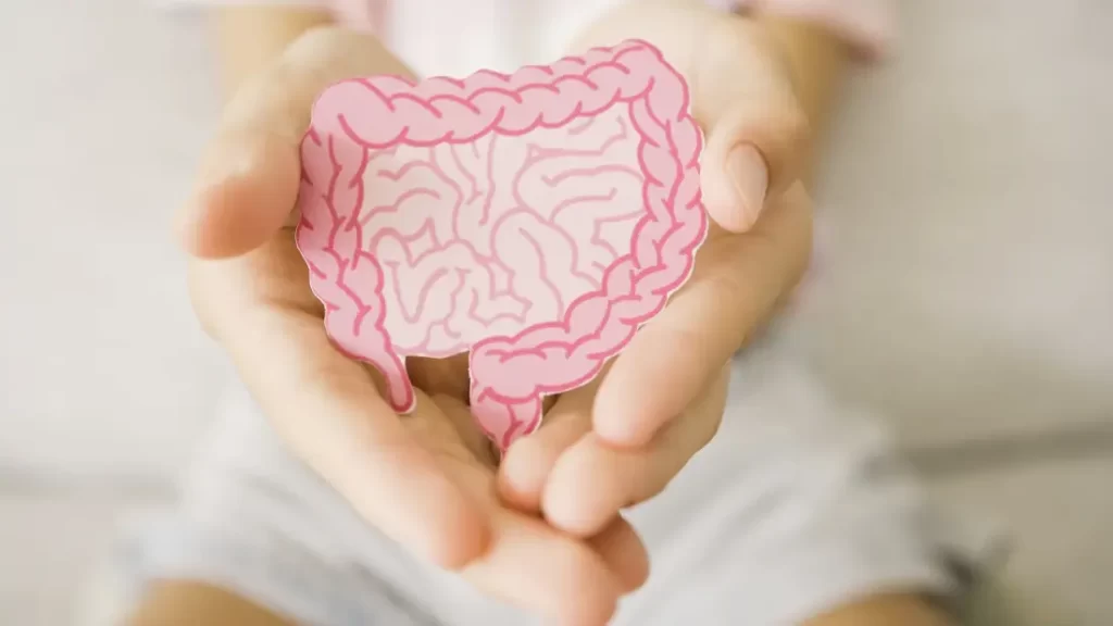 Why Your Gut Needs Probiotics vs. Prebiotics